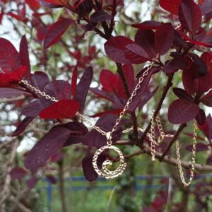 Collier chaîne "Serpent en spirale"