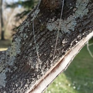 Collier chaîne "Goutte aux fleurs bleues" – Image 2